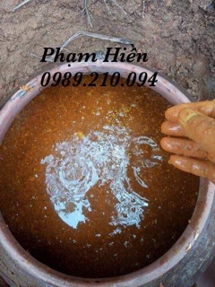 CỐT NGHỆ HẠT GẤC HẠ THỔ DÀNH CHO FACE 500ML