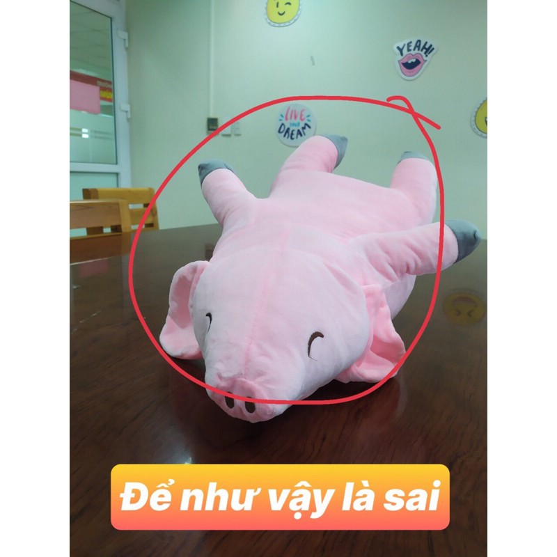 LỢN NGỦ NHỒI BÔNG