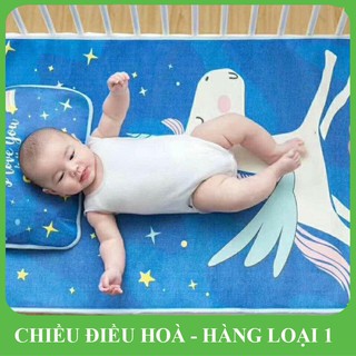 CHIẾU ĐIỀU HÒA DÀNH CHO BÉ TỪ 0 ĐẾN 36 THÁNG | CHẤT CỰC MÁT | TẶNG KÈM GỐI THẢO DƯỢC