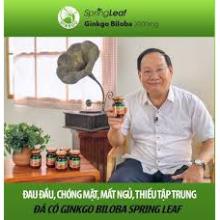 (Hàng nhập) Spring Leaf Ginkgo Biloba – Hỗ trợ hoạt huyết dưỡng não (Lọ 100 viên)