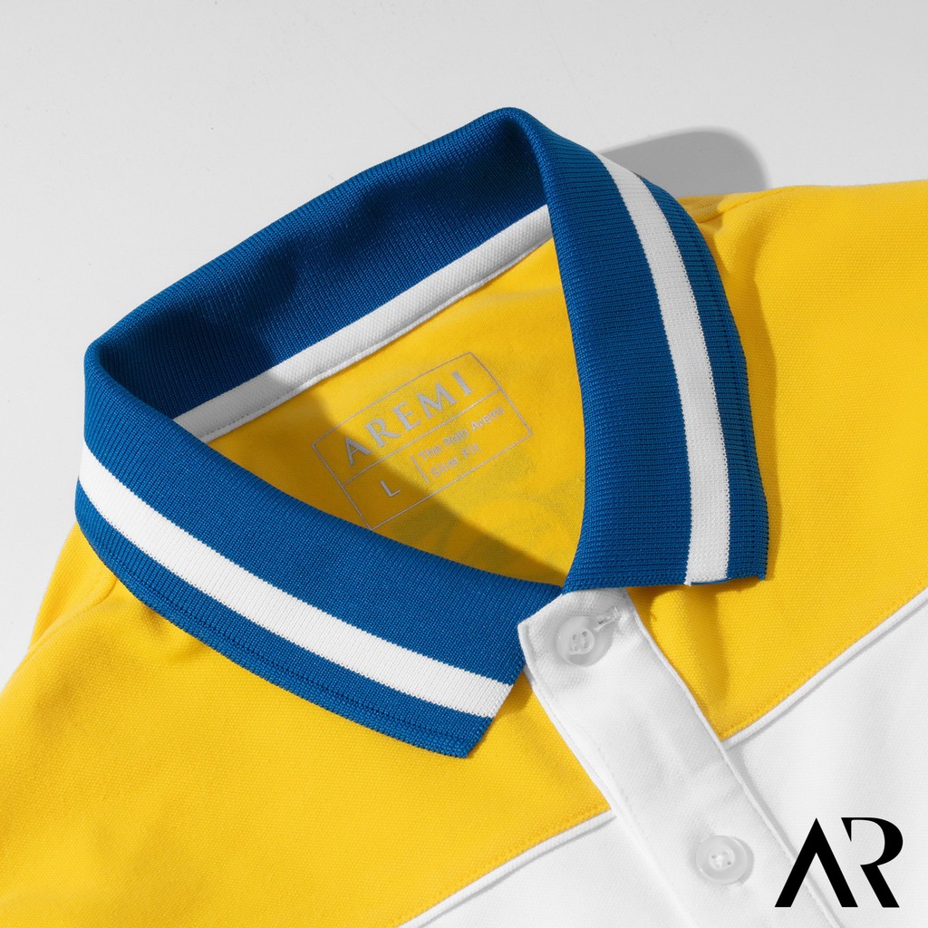 Áo polo nam ai cập cổ bẻ in hình 2d,vải CVC,thun cao cấp chuẩn form,thiết kế sang trọng lịch lãm AREMI -  APL0001 | BigBuy360 - bigbuy360.vn