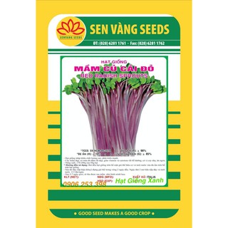 Hạt giống Mầm Củ Cải Đỏ Giàu dinh dưỡng Dễ trồng
