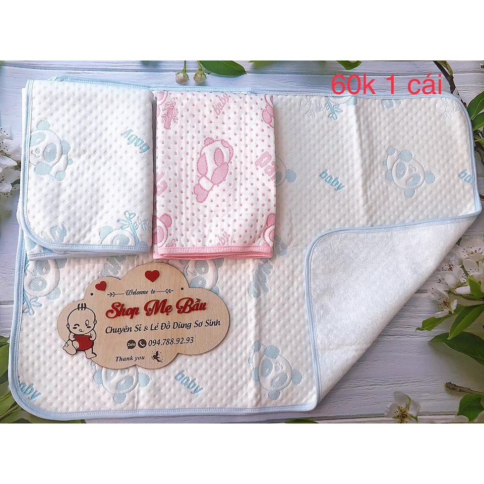 Tấm lót chống thấm gấu