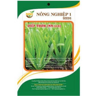 Hạt giống rau diếp thơm 10gr