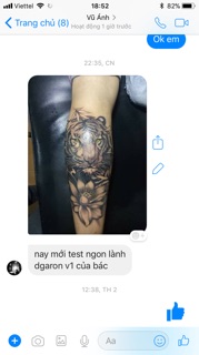 Máy xăm Pen DragonV1