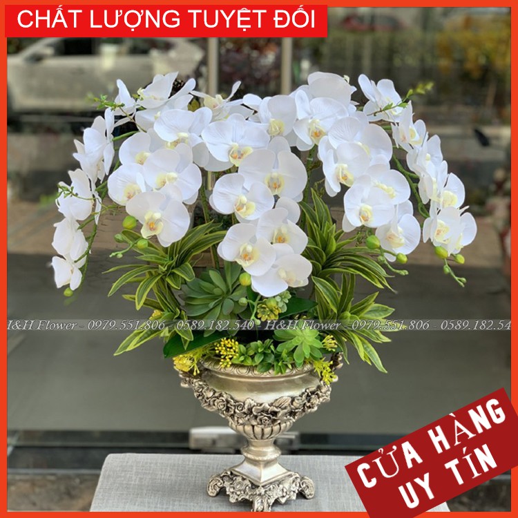 Hoa giả 🌸FREESHIP🌸 CHẬU LAN HỒ ĐIỆP TRẮNG - cao 75 cm (Ảnh thật shop chụp)