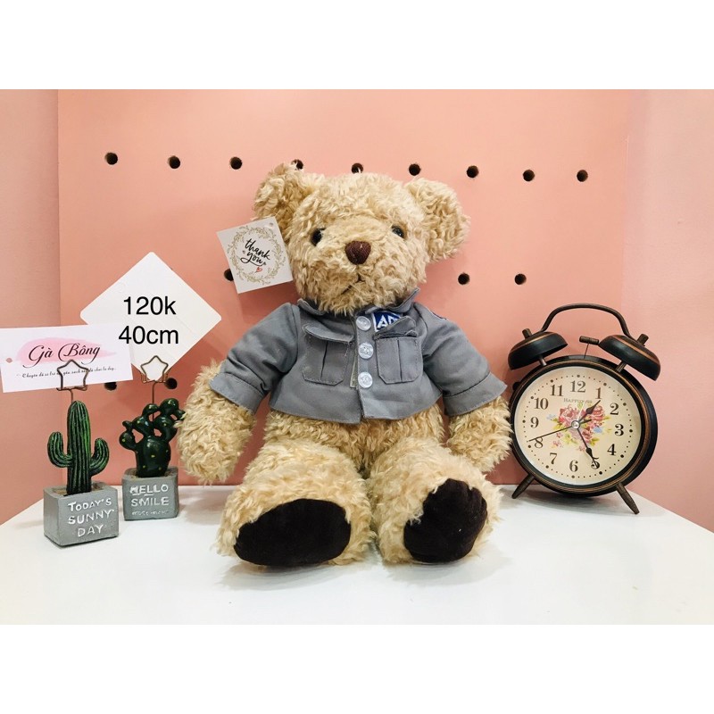 Gấu Si Teddy Úc Mỹ. Đã qua sử lí sạch sẽ