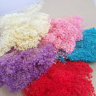 [ĐƯỢC TRỢ GIÁ] Hoa Khô Baby Bloom (Bó 35gr)