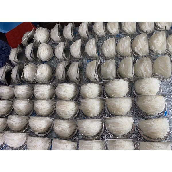 Yến Tinh Chế Sợi Loại 2 100gr + Quà ( Giá Sỉ ) | BigBuy360 - bigbuy360.vn