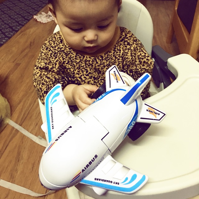 máy bay biến hình airbus