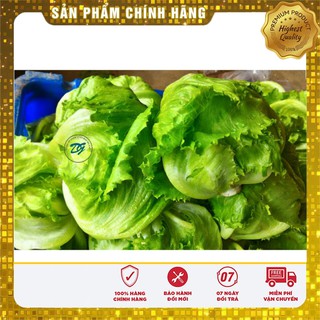 Hạt giống Xà lách Đăm(xà lách cuộn)