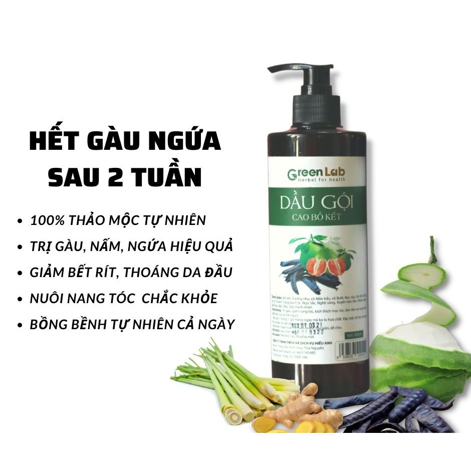 Dầu Gội bồ kết greenlab