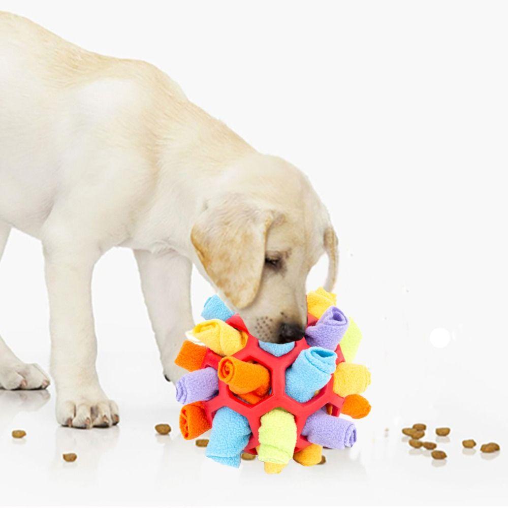 Norman Đồ Chơi Huấn Luyện Kỹ Năng Huấn Luyện Thú Cưng Thiết Kế Nhỏ Gọn Siêu Bền