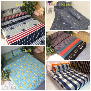 Bộ ga gối poly cotton m6/m8 ( được chọn mẫu)