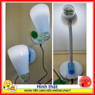 Đèn Học Để Bàn Chống Cận Rạng Đông