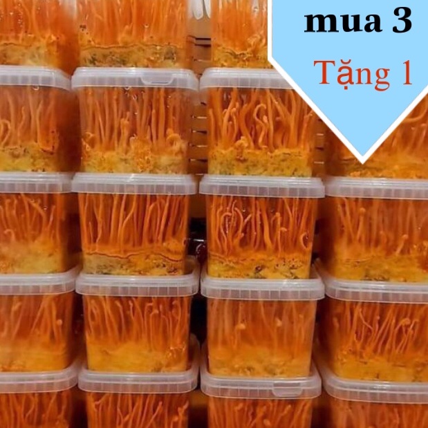 ✅1 Hộp Đông Trùng Hạ thảo Tươi  - mua 3 tặng 1