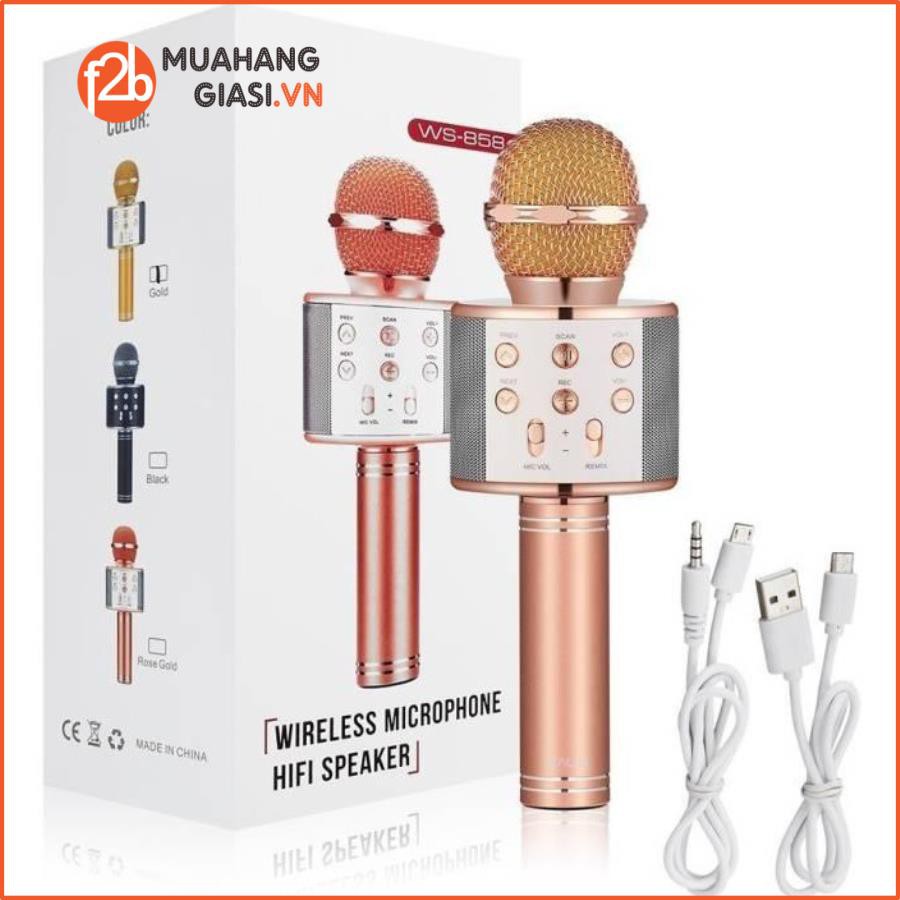 Micro hát karaoke Bluetooth 3in1 kèm loa WS-858