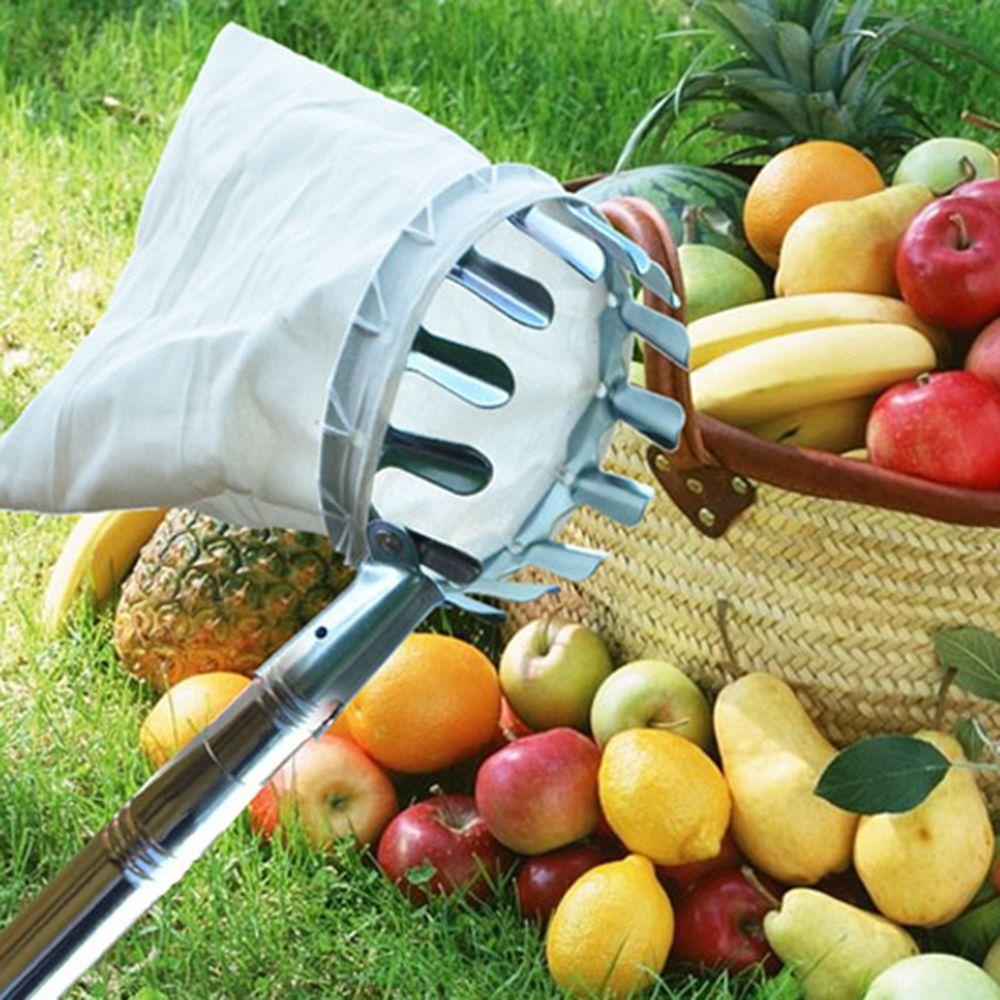 JARRED Dụng Cụ Nhặt Trái Cây Làm Vườn Tiện Lợi