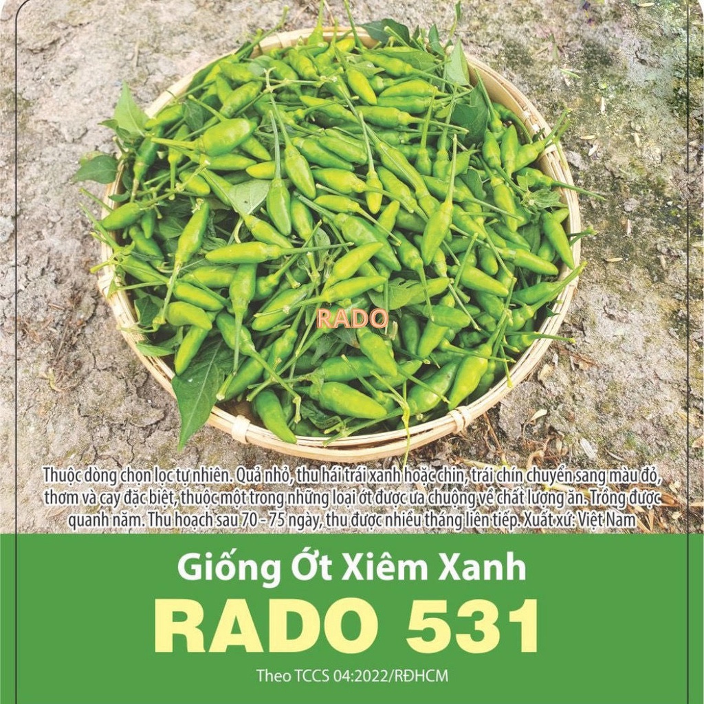 Hạt giống Ớt xiêm xanh Rado 531  Rạng Đông | VTNN Cần Thơ