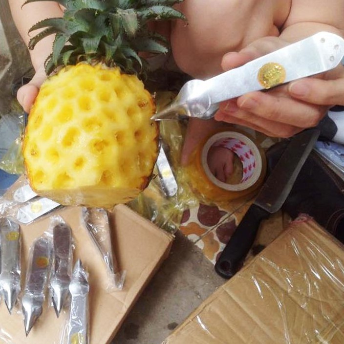Dụng Cụ Gắp Mắt Dứa Bằng Thép Cứng Cực Nhanh Và Đơn Giản
