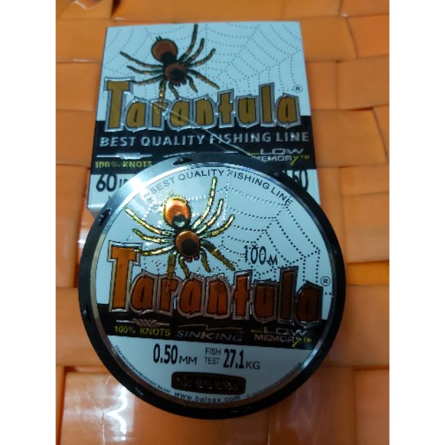 CƯỚC NHỆN TARANTULA