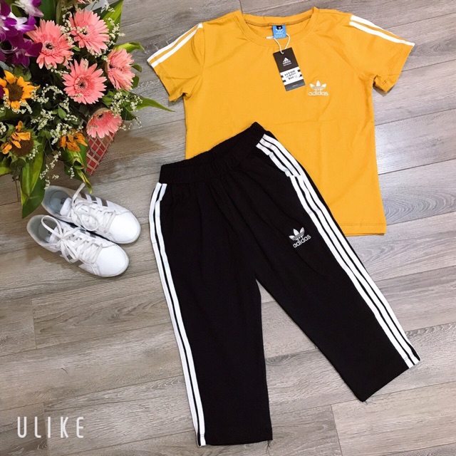 Combo Trịnh Huyền