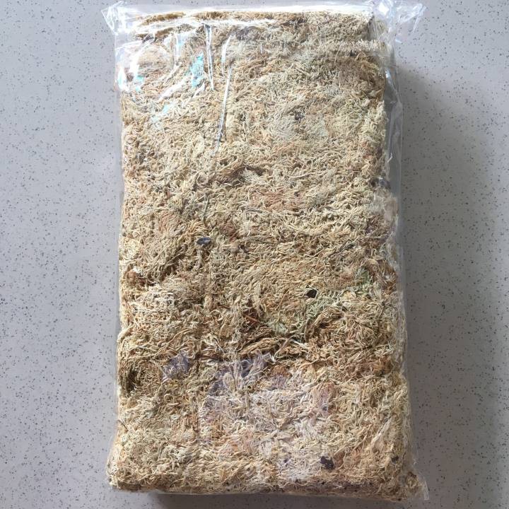 Dớn Mềm Chile dùng trồng lan, bó bâu, chiết cây 1 gói 100gr