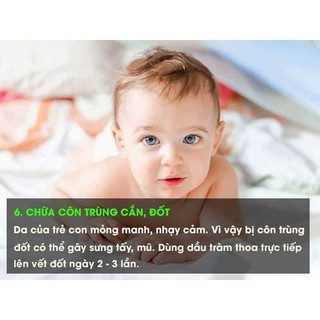 Dầu tràm Đan Viện Thiên An Huế