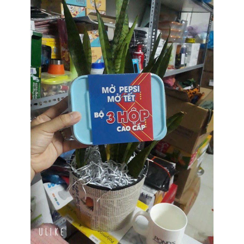 Bộ 3 hộp nhựa _HKM pepsi