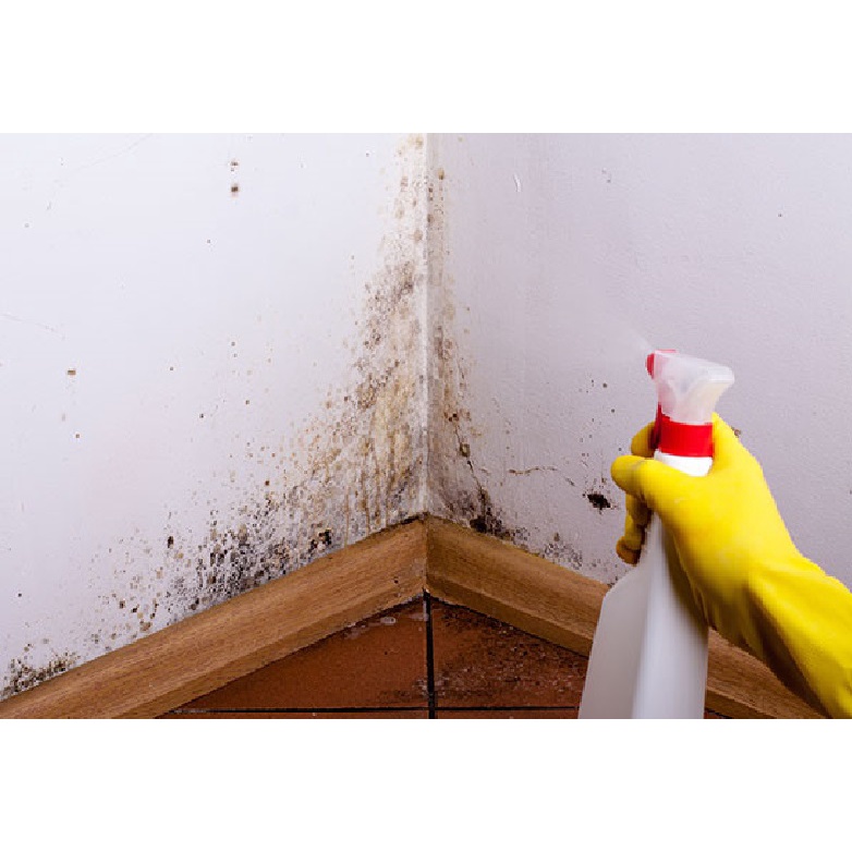 Bref - Xịt tẩy vết bẩn do vi khuẩn nấm mốc của Bref trong nhà vệ sinh, trên đồ nội thất chai 750 ml