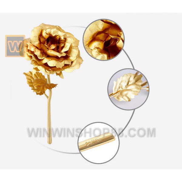 Hoa hồng mạ vàng 24K bông màu vàng  Muasamhot1208