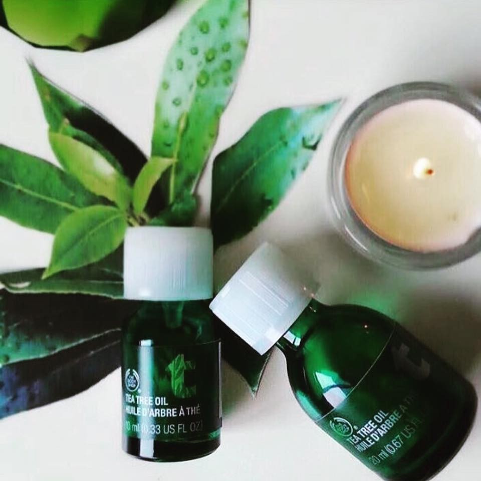 TEA TREE OIL THEBODYSHOP JUMBO