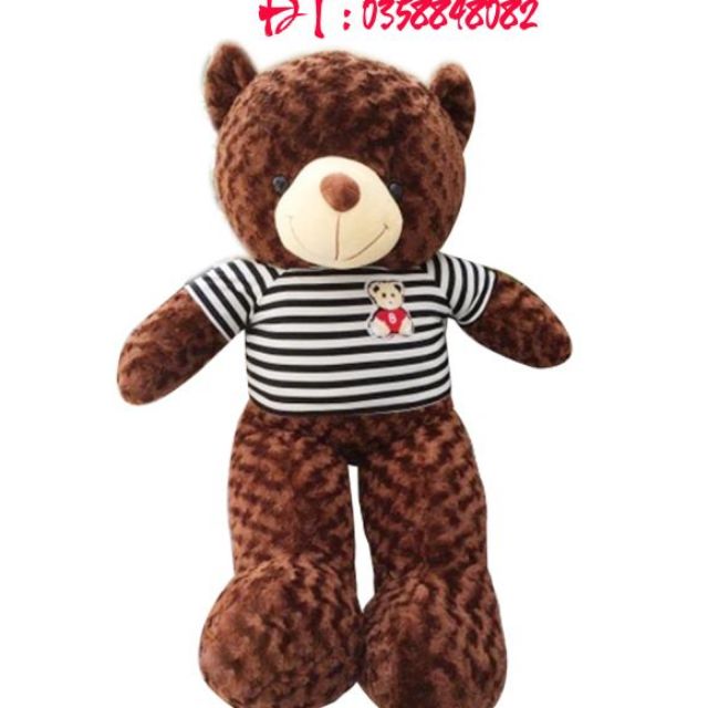 Gấu bông teddy khổ 1m cao 80cm