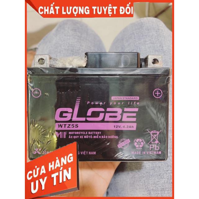 Bình ắc quy Globe