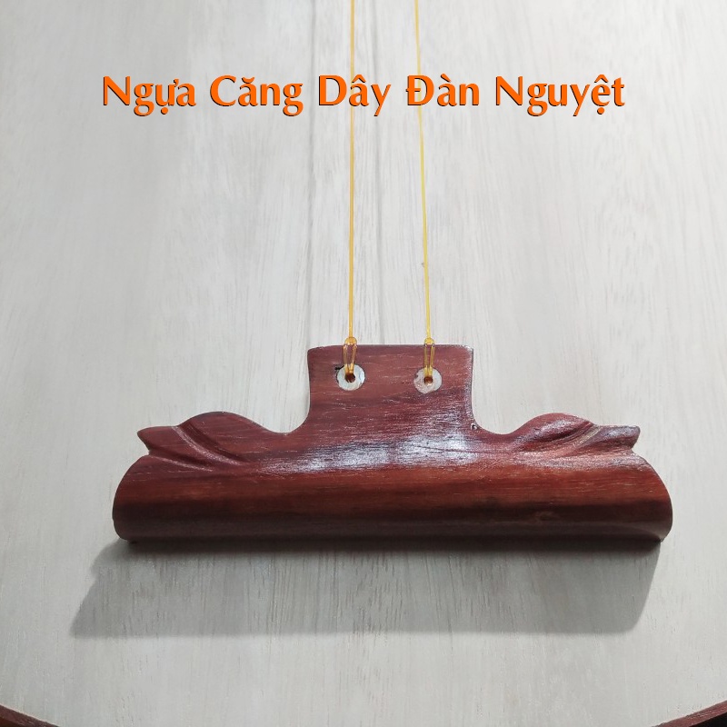 Ngựa Đàn Nguyệt - Ngựa Căng Dây Đàn Nguyệt