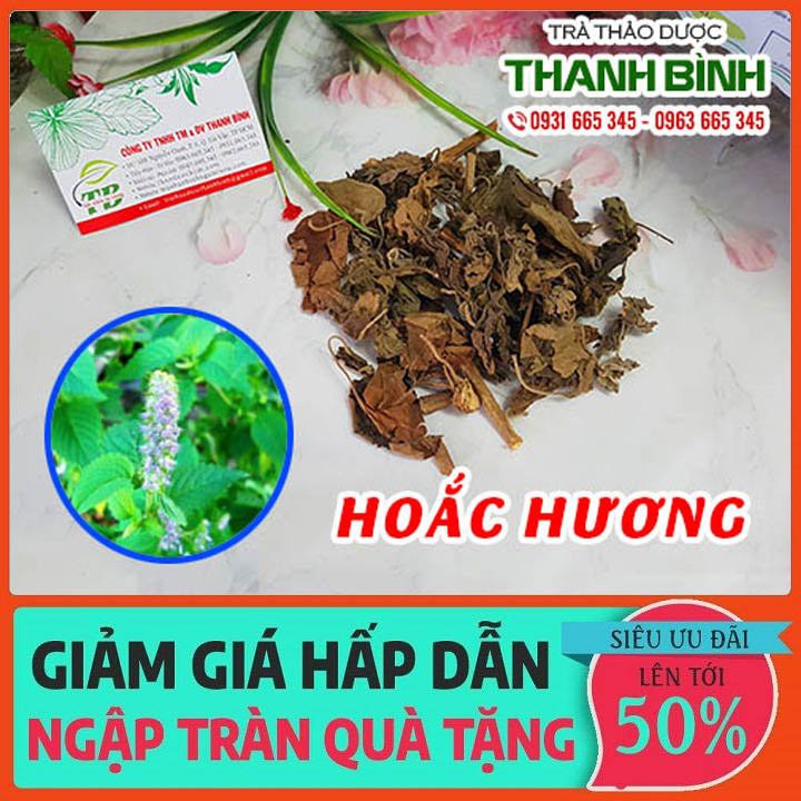 Cây Hoắc Hương 100g - Hàng Công Ty Thu Hái Tự Nhiên