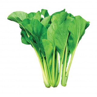 hạt giống rau cải ngọt - độ nảy mầm cao