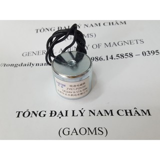 Nam châm điện 24V-50N