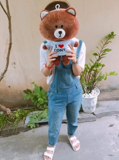 [rẻ bất ngờ 160k/1cặp] gấu bông brown-thỏ cony 40cm