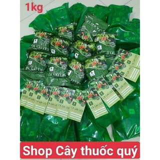 Bán sỉ trà cà gai leo túi lọc .