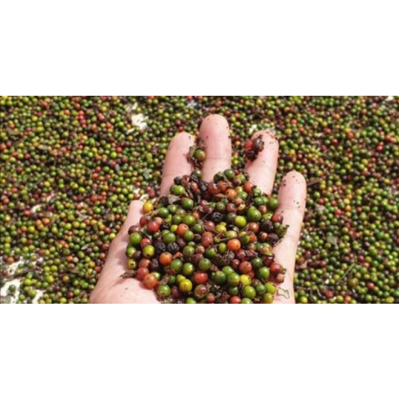 Tiêu đen nguyên hạt sạch vườn trồng hạt to chắc, thơm cay nồng Tiệm Ông Nhà Tui