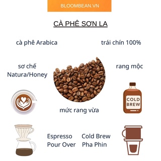 Cà phê Sơn La - 100% Arabica - Pha Cold Brew, Espresso, pha Phin