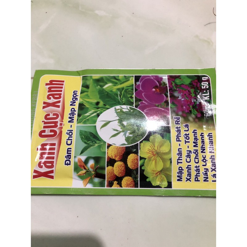 Xanh cực xanh giúp cây trồng chuyển vàng thành xanh