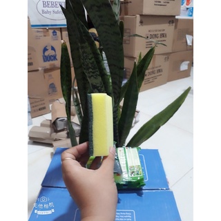 Miếng rửa chén Scotch-Brite 2 lớp cước 2 công dụng.