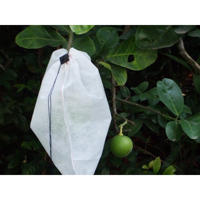 Combo 100 Túi bọc quả ổi, bưởi, xoài, na, mướp, mít, sử dụng được nhiều lần, túi bọc trái cây hạn chế côn trùng