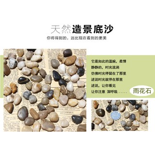 Đá Cuội Tự Nhiên Trang Trí Bể Cá