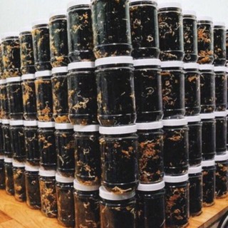 Rong biển cháy tỏi boba