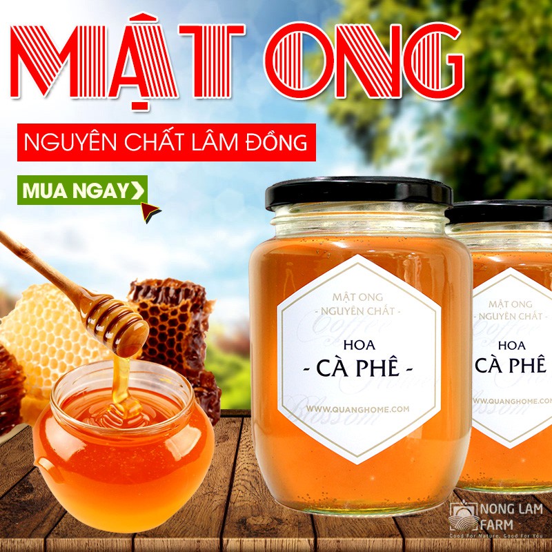 Mật Ong Hoa Cafe Nguyên Chất Lâm Đồng - Sản phẩm chất lượng từ cao nguyên Lâm Đồng