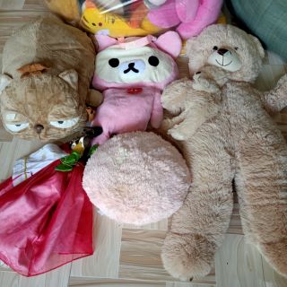 Gấu bông têddy c Naly