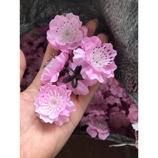 [GIÁ HUỶ DIỆT] Hoa đào loại 1 (1kg)